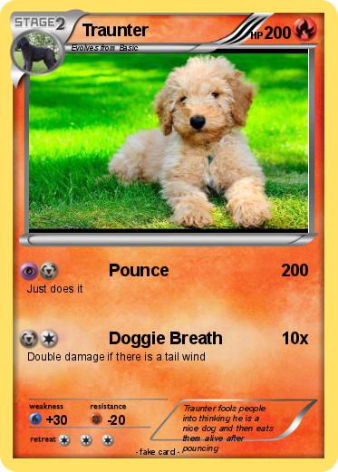 Pokemon Traunter