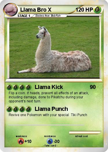 Pokemon Llama Bro X