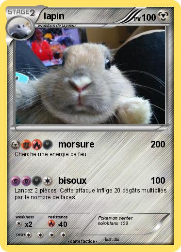 Pokemon lapin