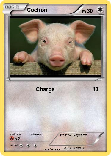 Pokemon Cochon