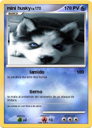 Pokemon mini husky