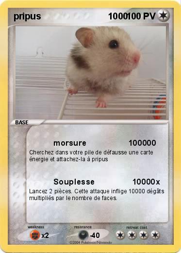 Pokemon pripus                           1000