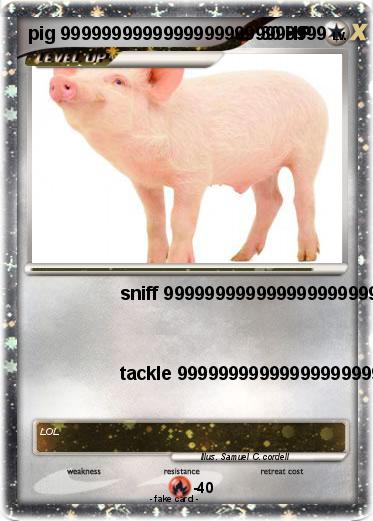 Pokemon pig 99999999999999999999999999