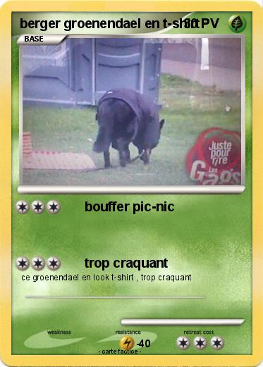Pokemon berger groenendael en t-shirt