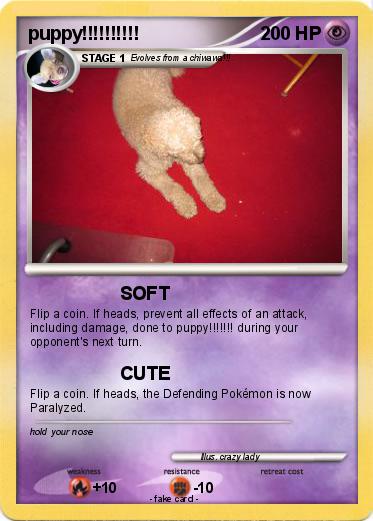Pokemon puppy!!!!!!!!!!