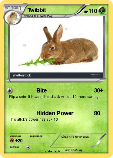 Pokemon Twibbit