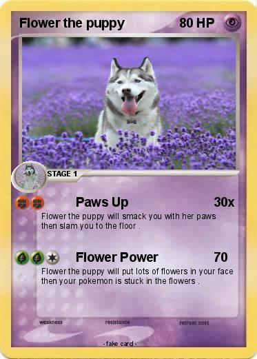 Pokemon Flower the puppy