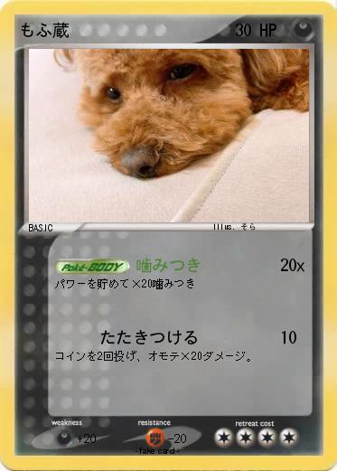 Pokemon もふ蔵