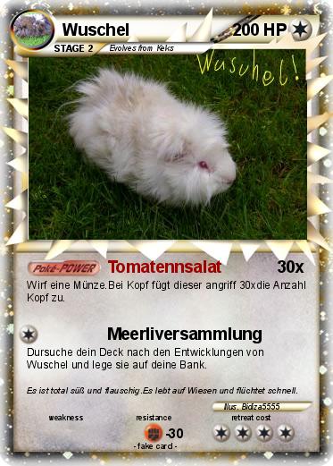 Pokemon Wuschel