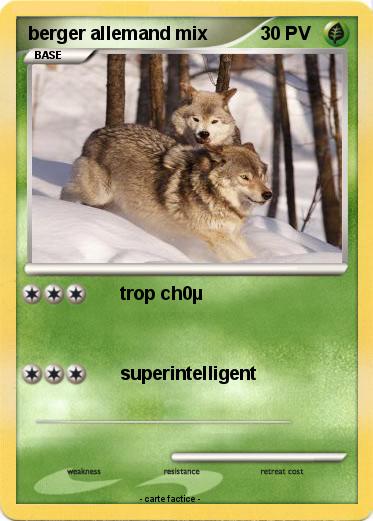 Pokemon berger allemand mix