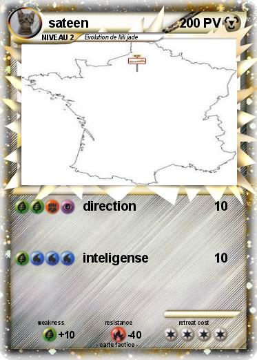 Pokemon sateen