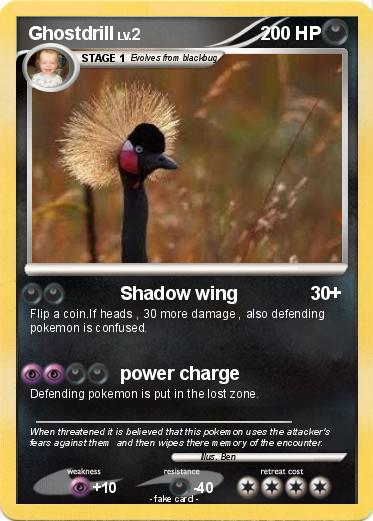 Pokemon Ghostdrill