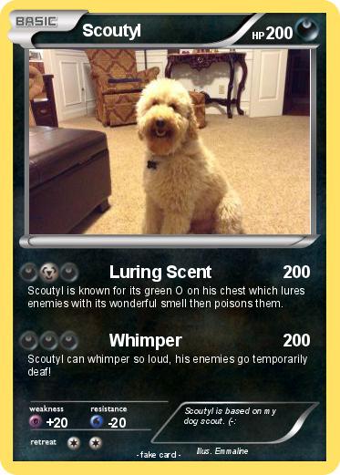 Pokemon Scoutyl