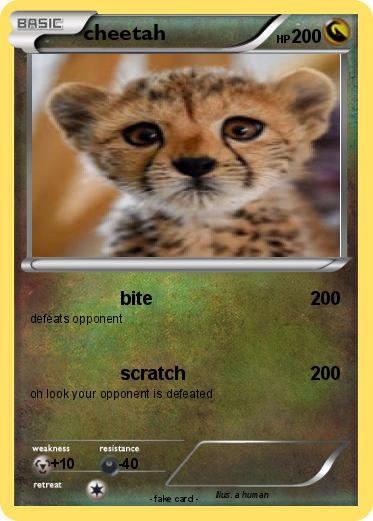 Pokemon cheetah