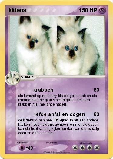 Pokemon kittens