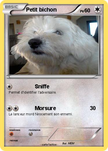 Pokemon Petit bichon