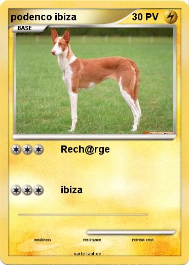Pokemon podenco ibiza
