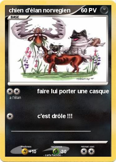 Pokemon chien d'élan norvegien