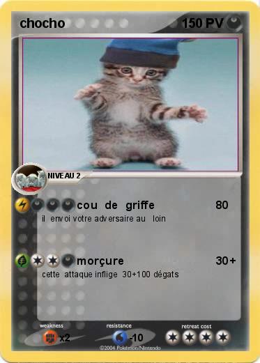 Pokemon chocho