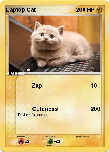 Pokemon Laptop Cat