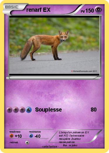 Pokemon renarf EX