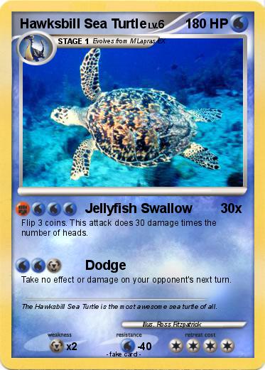 Pokemon Hawksbill Sea Turtle