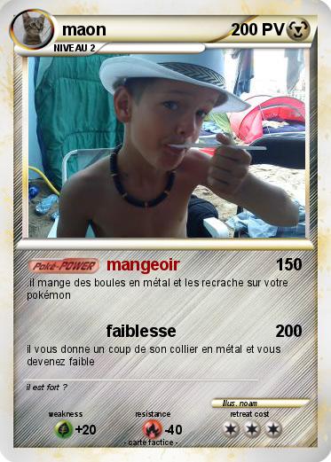 Pokemon maon