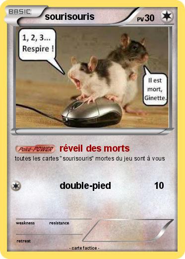 Pokemon sourisouris