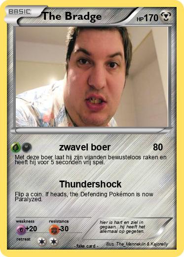 Pokemon The Bradge