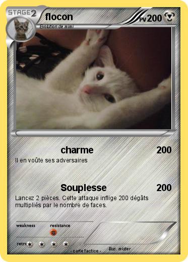 Pokemon flocon