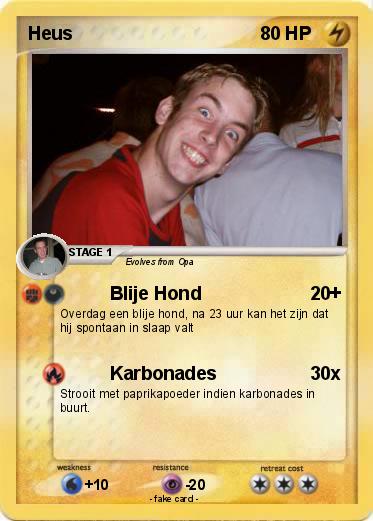 Pokemon Heus