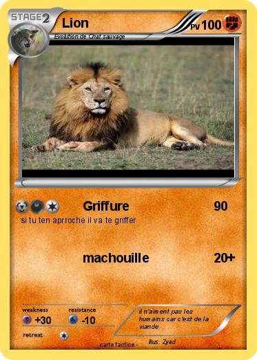 Pokemon Lion