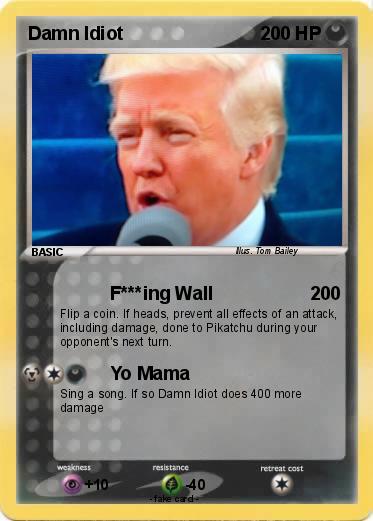 Pokemon Damn Idiot