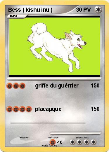 Pokemon Bess ( kishu inu )