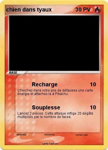 Pokemon chien dans tyaux