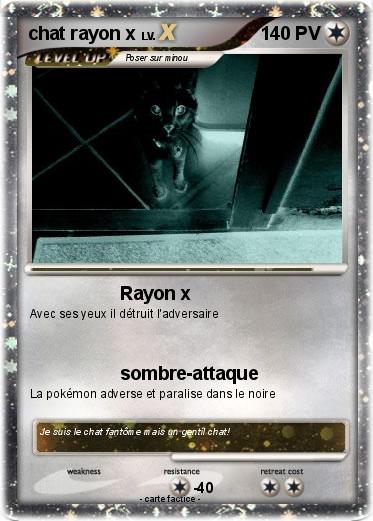 Pokemon chat rayon x