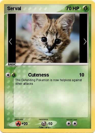 Pokemon Serval