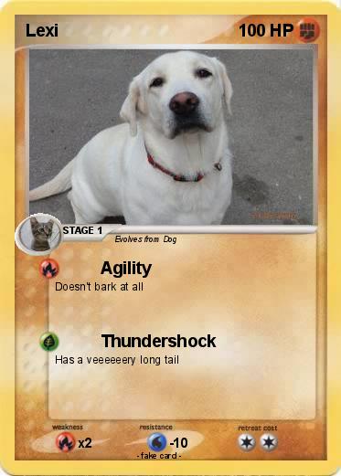 Pokemon Lexi