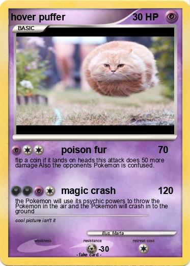 Pokemon hover puffer
