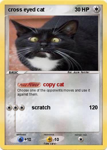 Pokemon cross eyed cat