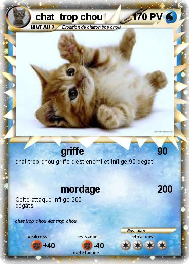Pokemon chat  trop chou