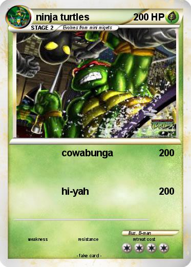 Pokemon ninja turtles