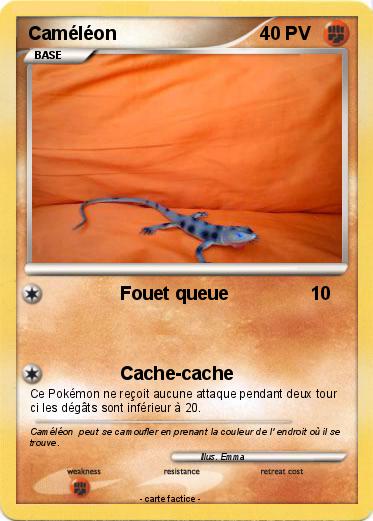 Pokemon Caméléon