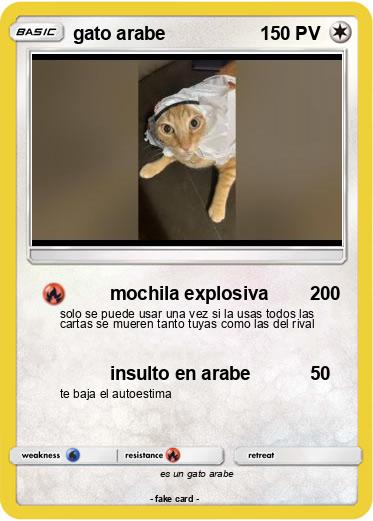 Pokemon gato arabe