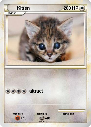 Pokemon Kitten