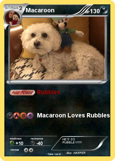 Pokemon Macaroon