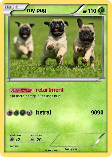 Pokemon my pug