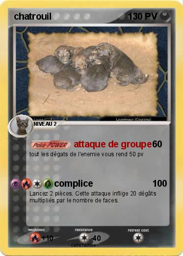 Pokemon chatrouil