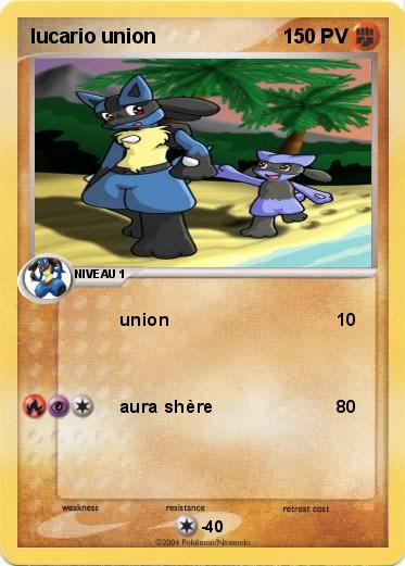 Pokemon lucario union 