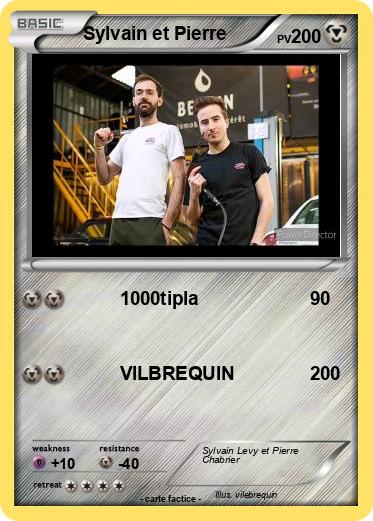 Pokemon Sylvain et Pierre